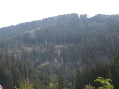Apartment Charmantes Refugium, Harz - Environment photo 28