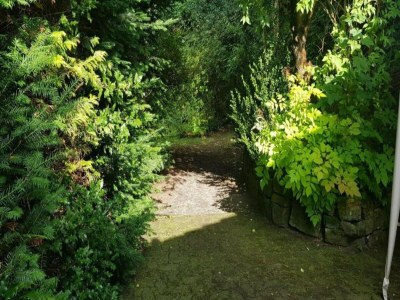 Apartment Sonniges Dachgeschoss-Refugium, Wildemann - Environment photo 31