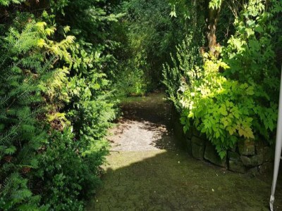Apartment Charmantes Refugium, Harz - Environment photo 31