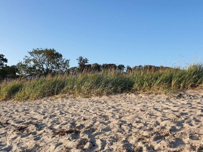 Holiday house 8 Personen Ferienhaus in Aabenraa-By Traum - Outdoor photo 16