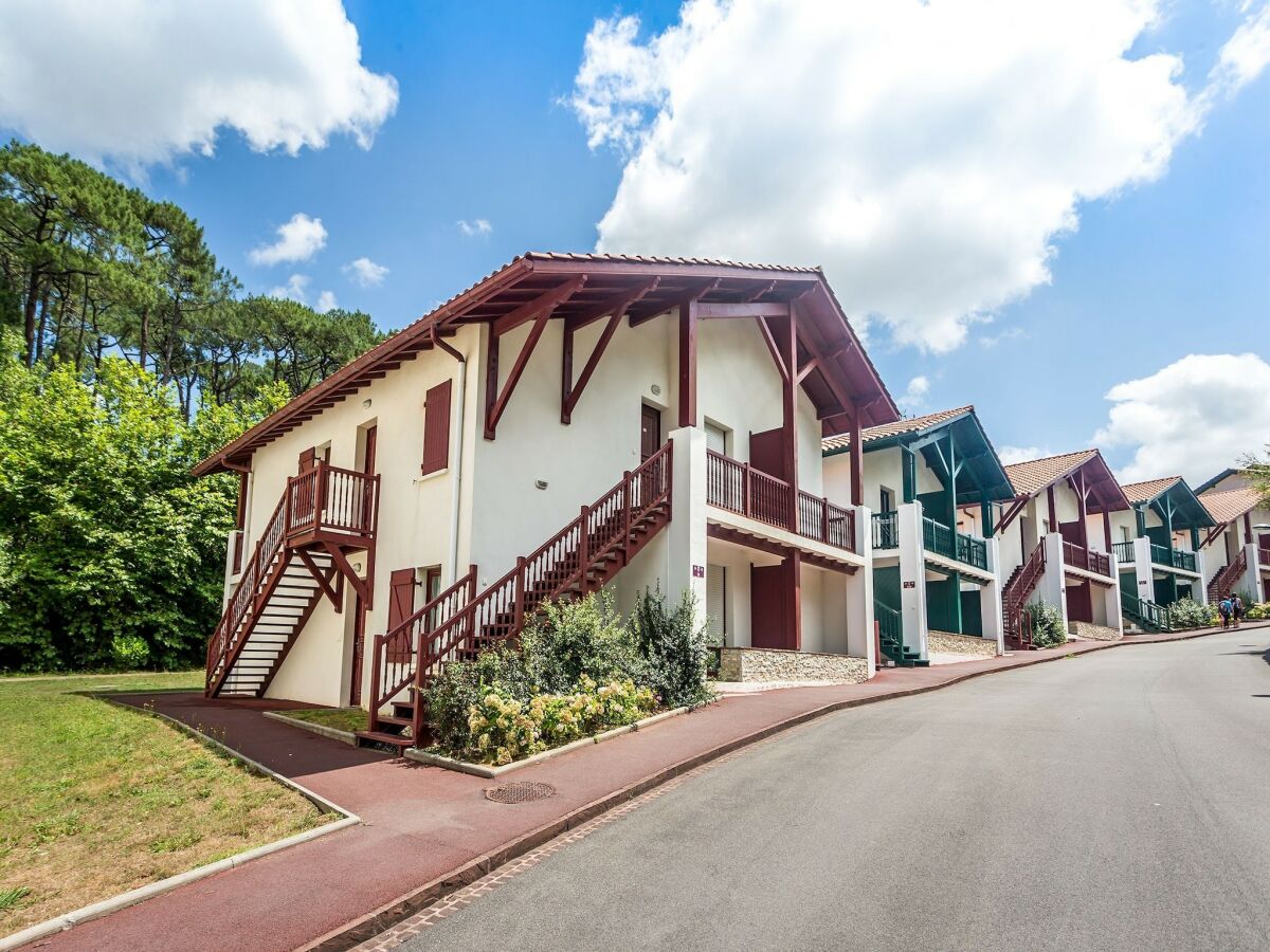 Holiday park Coastal Apartment with Terrace
