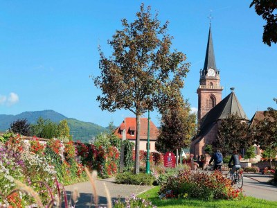 Holiday park Peaceful Alsace Retreat - Environment photo 32