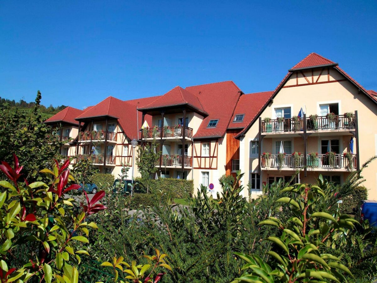 Holiday park Apartment in Bergheim near Alsace Vineyards