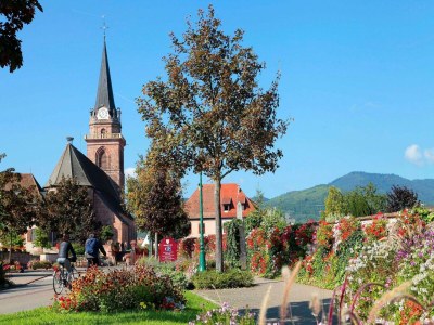 Holiday park Apartment in Bergheim near Alsace Vineyards - Environment photo 14