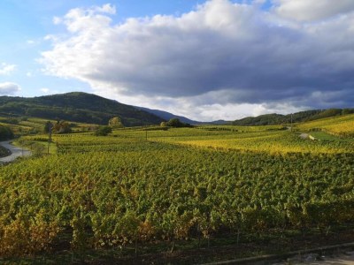 Holiday park Apartment in Bergheim near Alsace Vineyards - Environment photo 31