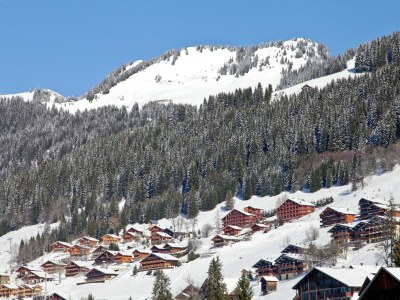 Holiday park Chalet in Chatel by Super Chatel Gondola - Environment photo 29