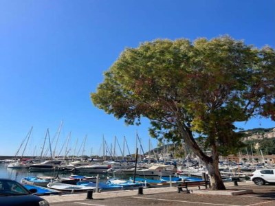 Holiday park Apartment in Nice near the Promenade des Anglais - Environment photo 23