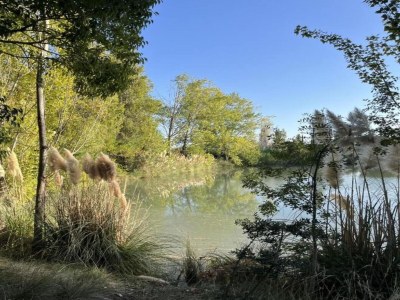 Holiday park Resort in Arles mit Pools nahe Camargue - Environment photo 23