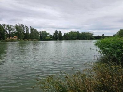 Holiday park Resort in Arles mit Pools nahe Camargue - Environment photo 27