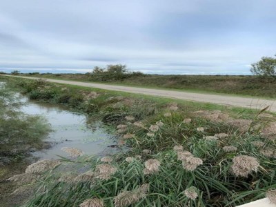 Holiday park Resort in Arles mit Pools nahe Camargue - Environment photo 18