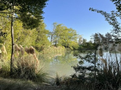 Holiday park Resort in Arles mit Pools nahe Camargue - Environment photo 21