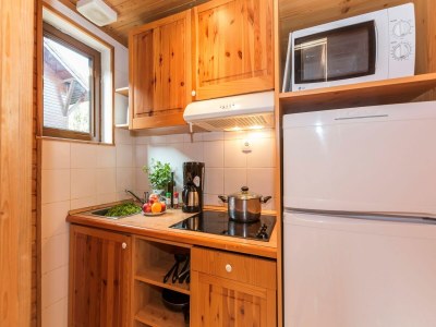 Holiday park Chalet Apartment by Lake Geneva, Evian - Features photo 15