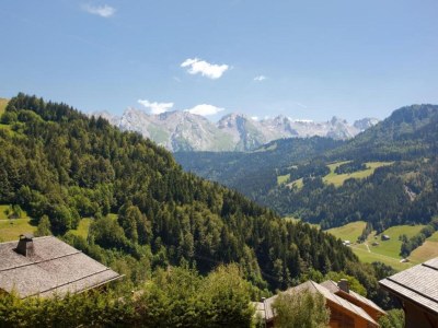Holiday park Chalet Apartment by Lake Geneva, Evian - Environment photo 23