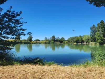 Holiday park Resort in Arles near Camargue Flamingos - Environment photo 21