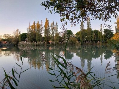 Holiday park Resort in Arles near Camargue Flamingos - Environment photo 32