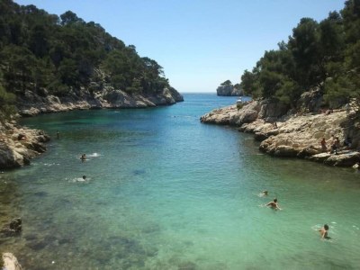 Holiday park Chalet in Provence with Shady Pine Retreat - Environment photo 17