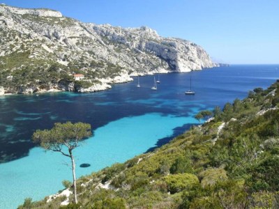 Holiday park Chalet in Provence with Shady Pine Retreat - Environment photo 24