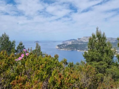 Holiday park Chalet in Provence with Shady Pine Retreat - Environment photo 32