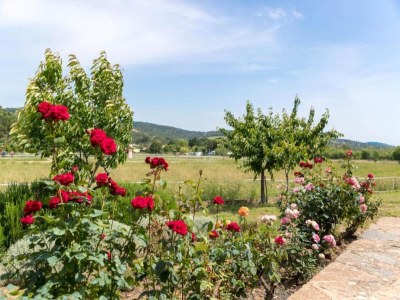 Holiday park Wohnung in Grimaud mit Pools - Environment photo 17