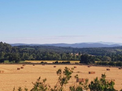 Holiday park Apartment in Bonnieux near Lavender Fields - Environment photo 25