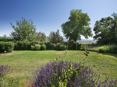 Holiday park Wohnung in Bonnieux bei Lavendelfeldern - Outdoor photo 3