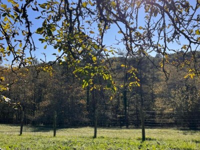 Holiday park Holiday Home in Sarlat near Grottes de Lascaux - Environment photo 35