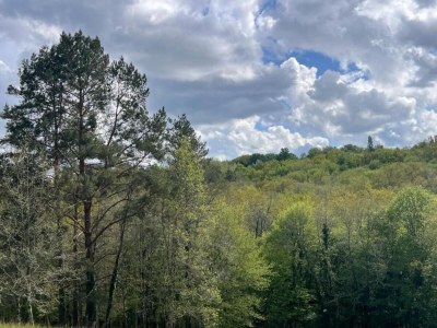 Holiday park Ferienhaus in Sarlat nahe Castelnaud - Environment photo 18