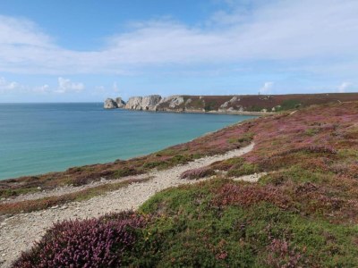 Holiday park Brittany Beach Escape | Garden - Environment photo 17