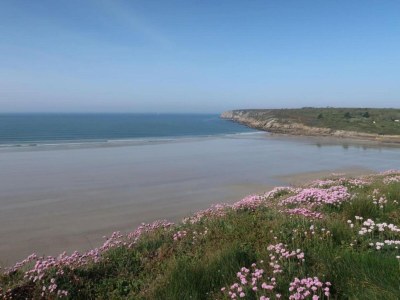 Holiday park Brittany Beach Escape | Garden - Environment photo 18