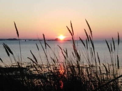 Holiday park Wohnung in Plougasnou mit Meerblick - Environment photo 18