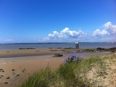 Holiday park Apartment in France near the Atlantic Coast - Environment photo 16