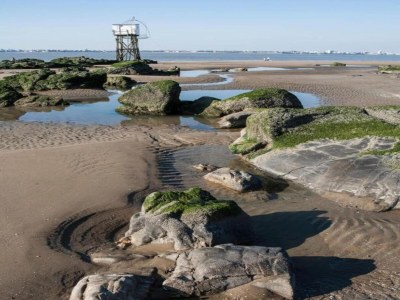 Holiday park Apartment in France near the Atlantic Coast - Environment photo 18