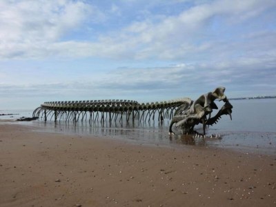 Holiday park Wohnung in Frankreich am Strand - Environment photo 29