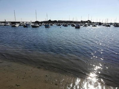 Holiday park Wohnung in La Baule mit Meerblick - Environment photo 27