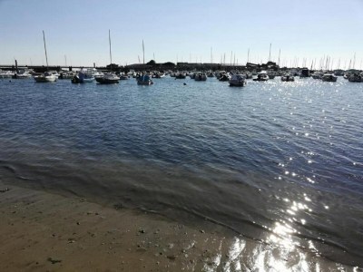 Holiday park Apartment in La Baule by the Beach - Environment photo 28