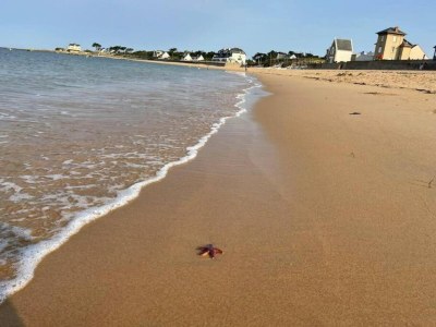 Holiday park Wohnung in Côte Sauvage bei Bucht La Baule - Environment photo 37
