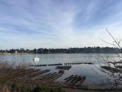 Holiday park Apartment in Bretagne near Morbihan Coast - Environment photo 29