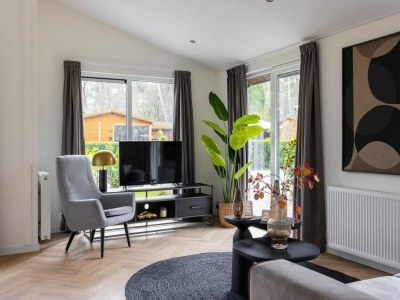 Holiday park Lodge in den Niederlanden mit Terrasse - Features photo 17