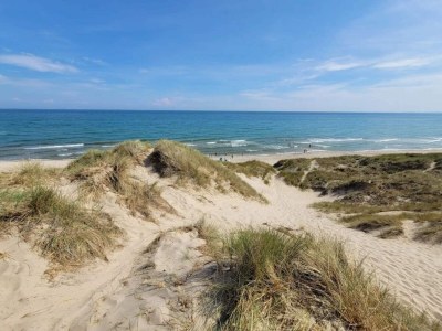 Holiday house 5 star holiday home in Ålbæk-By Traum - Outdoor photo 6