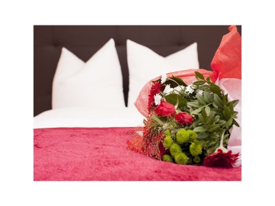 Apartment Bergliebe (Top 3) - Features photo 39