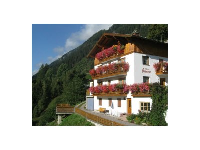 Apartment FW 4-5 Pers. 2 Schlafräume+ Wohn-/Schlafraum DU/WC in Kappl - Apartment