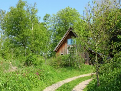 Holiday house Holiday Home in Bergen near Forests - Outdoor photo 6