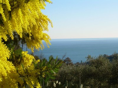 Apartment Ariabuona beautiful sea view - Environment photo 16