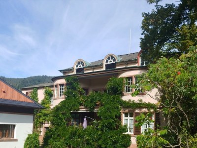 Apartment FeWo 2, Dusche und Badewanne, 2 Schlafräume, Pool - Outdoor photo 12