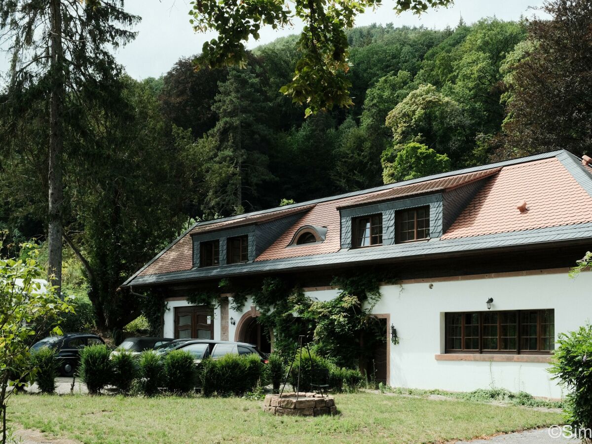 Apartment FeWo 3, Dusche, waldseitig, Pool