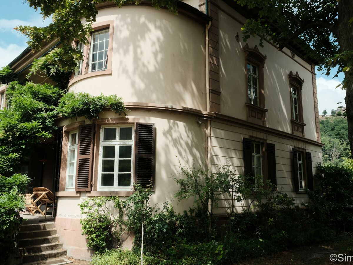 Apartment FeWo 3, Dusche, waldseitig, Pool - Outdoor photo 4