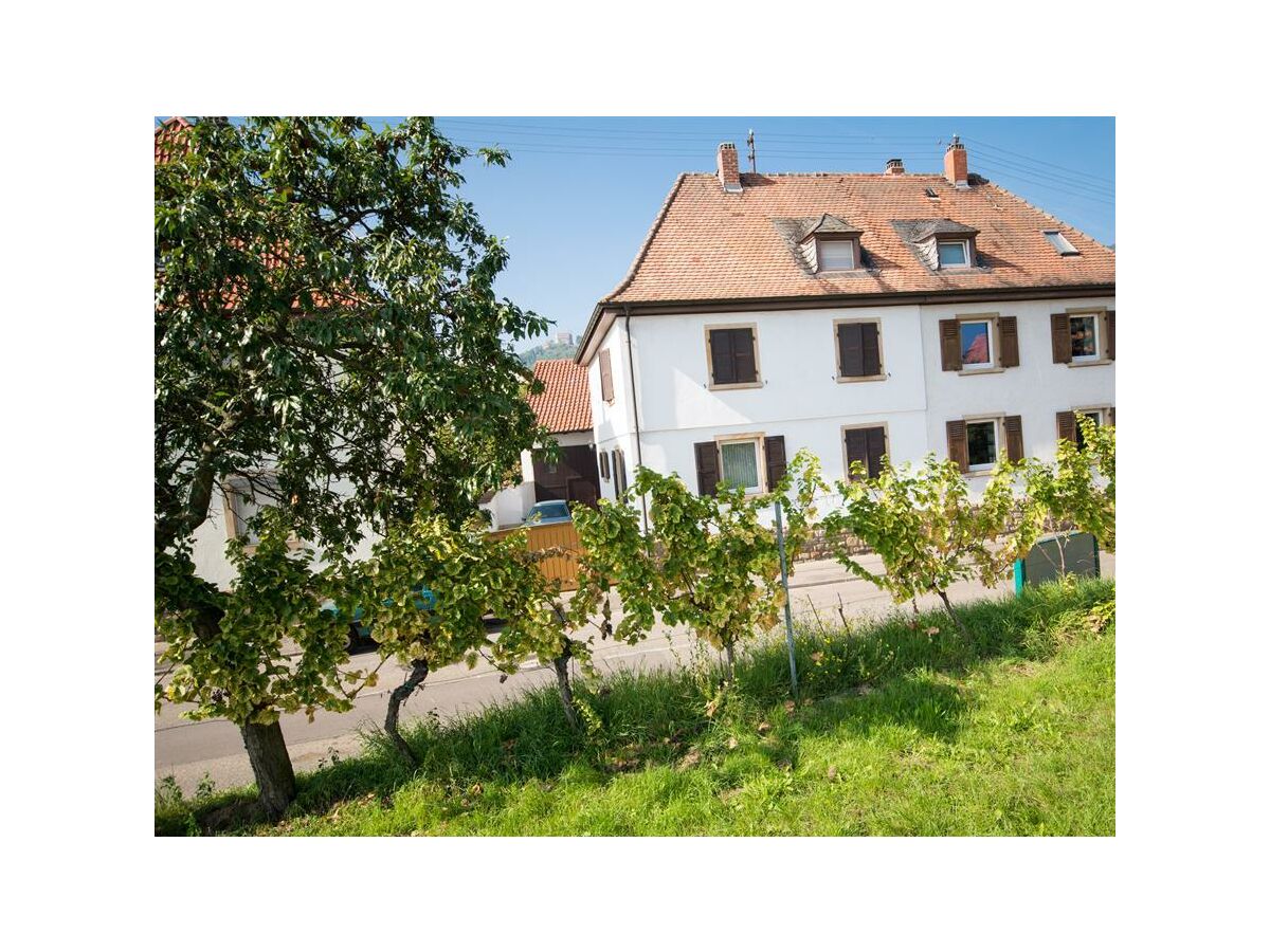 Apartment Ferienwohnung Weinstraße 302