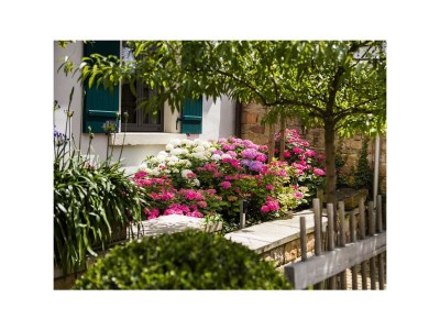 Apartment Fewo 3 - Maisonette - Outdoor photo 7