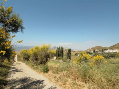 Holiday house Cottage in Antequera with Pool near El Torcal - Environment photo 25