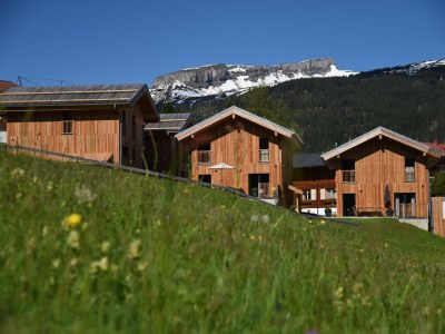 Holiday house Villa Steinmandl in Hirschegg - Holiday house